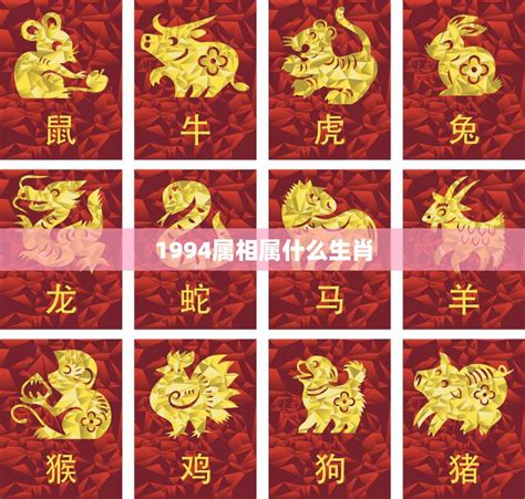 1974年属相|74年属于什么属相的 1974年出生的人属相是什么